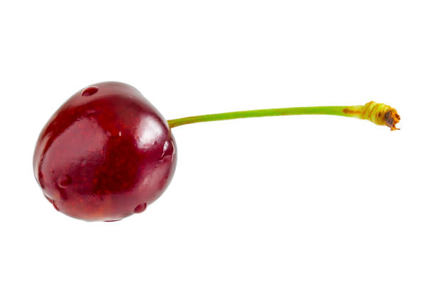 istock The cherry close-up lies against a white background. 1206054047