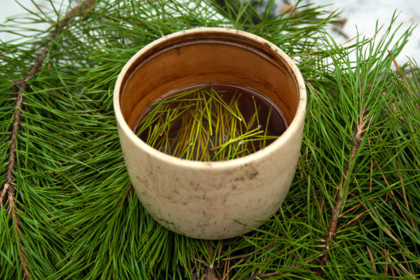 istock Cup of black tea with pine tree needles in it on green needles background side view. Healthy beverage tea in old cup. 1206054841