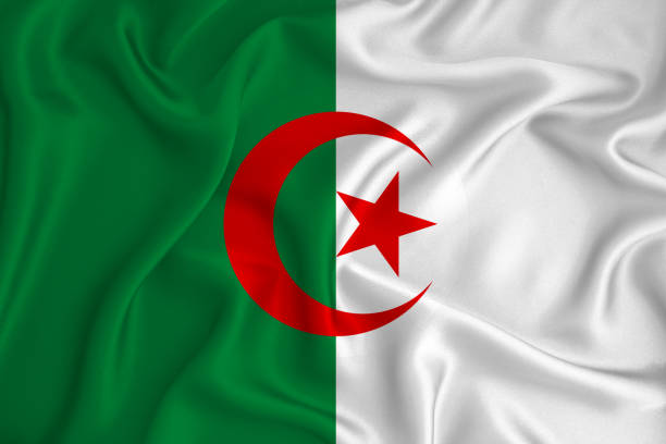 istock Algeria flag on the background texture. Concept for designer solutions. 1206054935