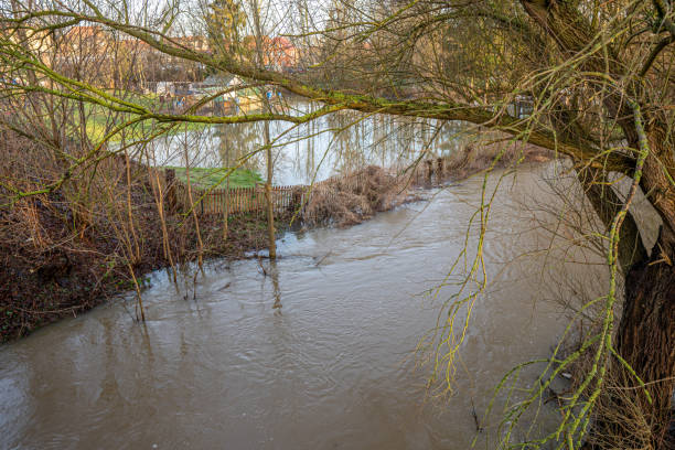 istock meadow bottom is flooded by water from a river after heavy rainfall 1206056998