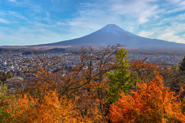 mt.fuji jesienią - fuji mt fuji yamanashi prefecture japanese fall foliage zdjęcia i obrazy z banku zdjęć