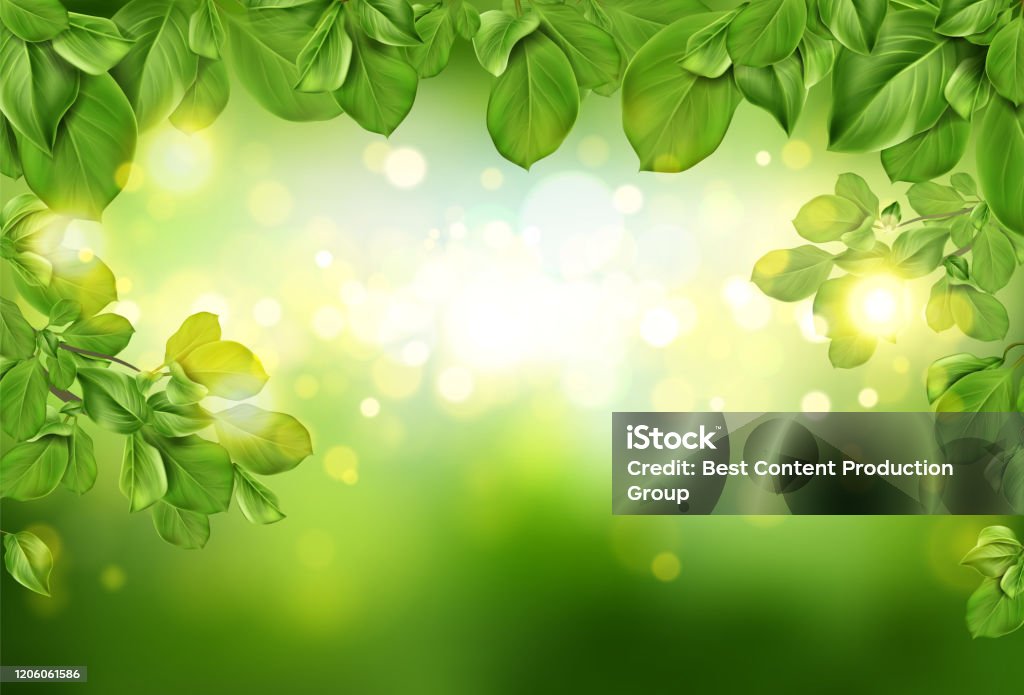 Tree Backgorund Border Tree Leaves Border On Green Defocused Background Stock Illustration ...