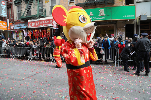 New York City, NY, USA- February 9,2020: A performer stops to adjust the head of the costume on Mott Street during the annual Chinese New Year Parade on Mott Street in New York City's Chinatown.