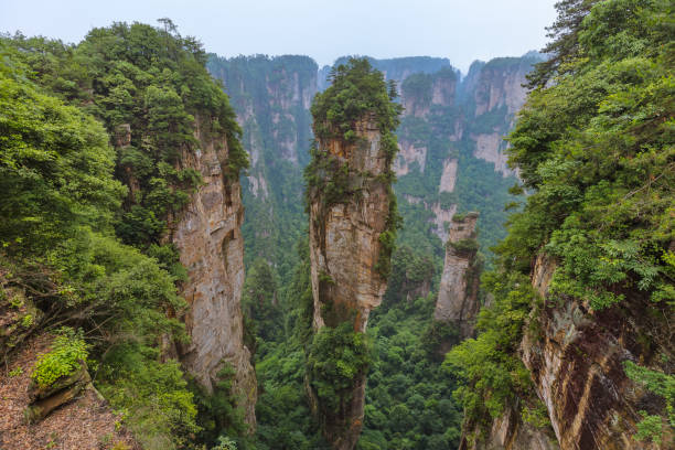 istock Tianzi Avatar mountains nature park - Wulingyuan China 1206064434