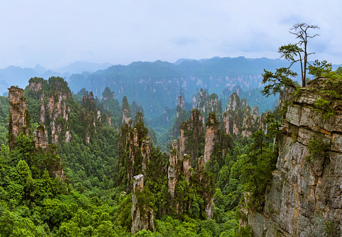 Tianzi Avatar mountains nature park - Wulingyuan China - travel background