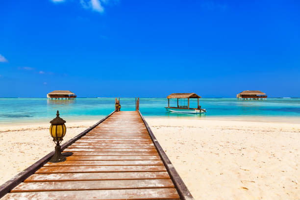 istock Boat and bungalow on Maldives island 1206064560
