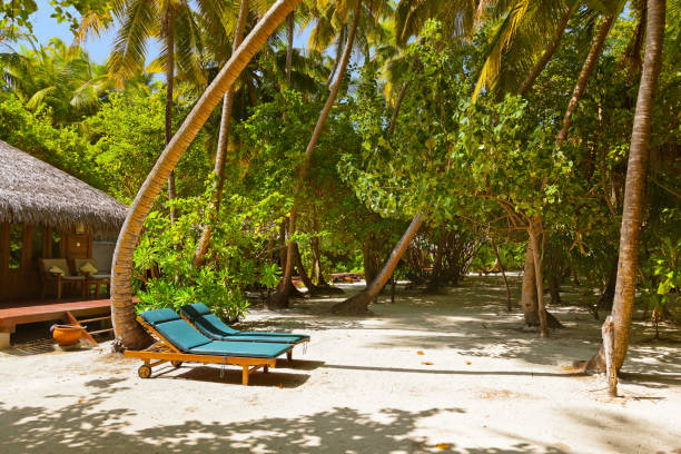 Beach bungalow - Maldives Beach bungalow - Maldives vacation background water bungalow maldives stock pictures, royalty-free photos & images