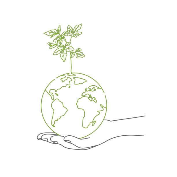 illustrazioni stock, clip art, cartoni animati e icone di tendenza di mani che tengono il globo con un germoglio - globe human hand earth world map