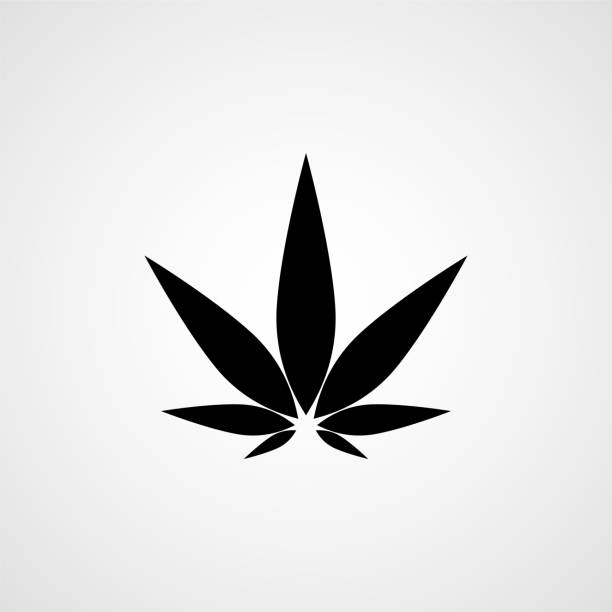 ilustrações de stock, clip art, desenhos animados e ícones de cannabis leaf black icon. vector - narcotic medicine symbol marijuana