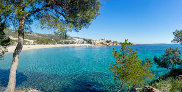 istock Playa de Palma Nova beach and Magalluf beach 1206069474