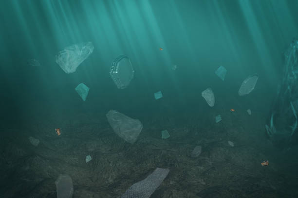 istock Plastic submerged in the sea concept 1206072354