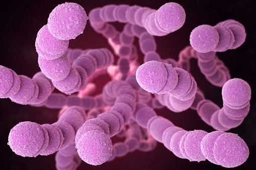 Streptococcus pneumoniae, or pneumococcus, is Gram-positive coccus shaped pathogenic bacteria which causes many types of pneumococcal infections in addition to pneumonia. 3D illustration
