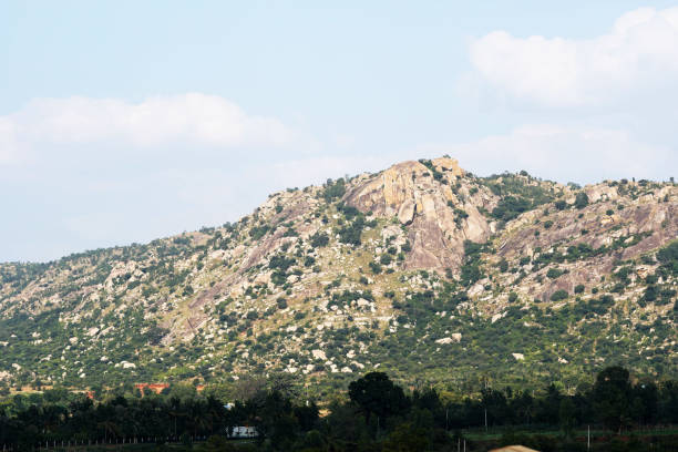 istock Landscape of a rocky hill 1206072999