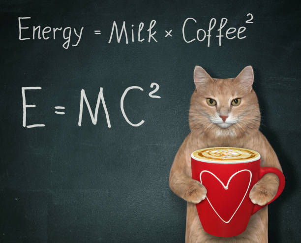 gato con café energético 2 - mc2 fotografías e imágenes de stock