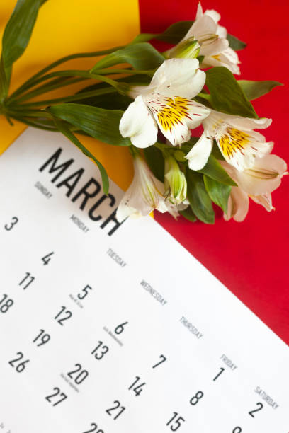 istock March 2020 monthly calendar 1206074841