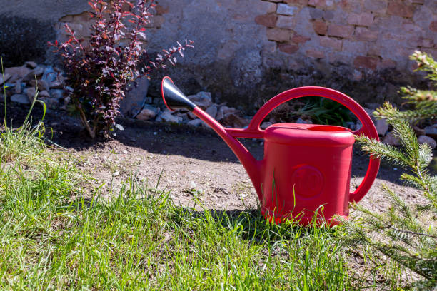 istock watering can old retro vintage style 1206076327