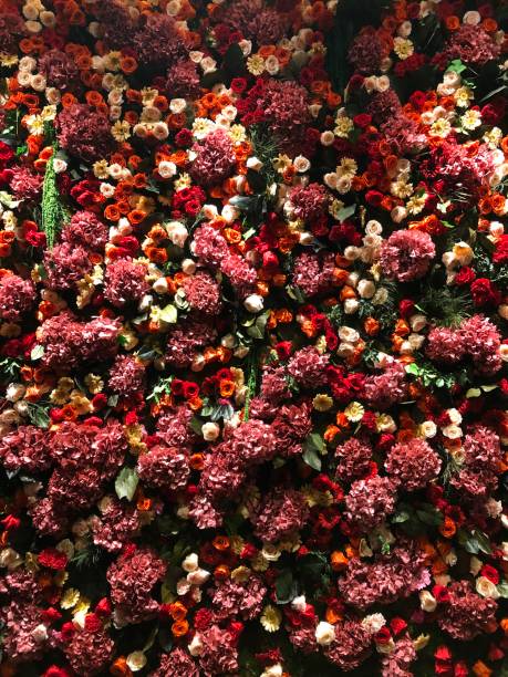 istock Bed of Flowers 1206077484