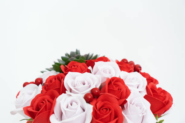 istock Buds of red and white roses on a white background. 1206079279