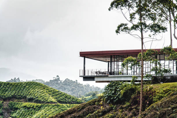 Boh's Tea Centre, one of the most visited tea house by tourists in Cameron Highland, Malaysia.