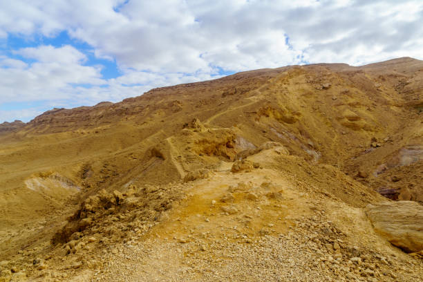 istock Landscape of Makhtesh (crater) Ramon (from mount Ardon) 1206084133