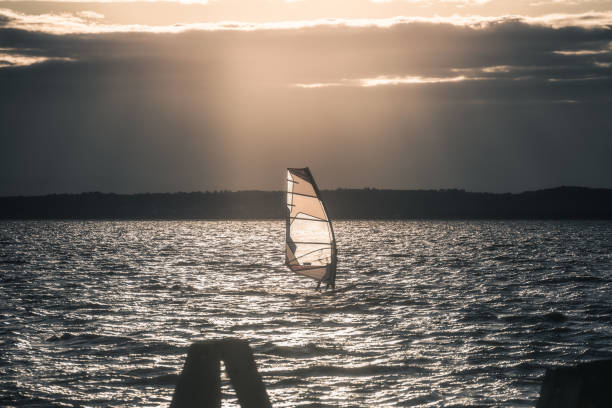 Multiple people in the sea surfing and paddling as the early morning sun rays shine down on them on the still waters.
