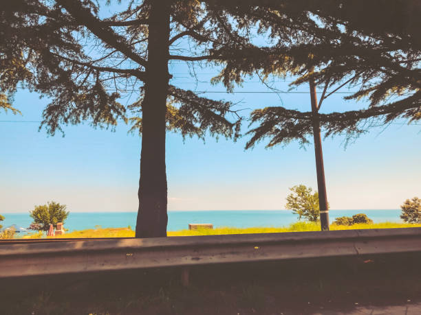 istock Cloudless sky, horizon, sea, road, tree near the road 1206086356