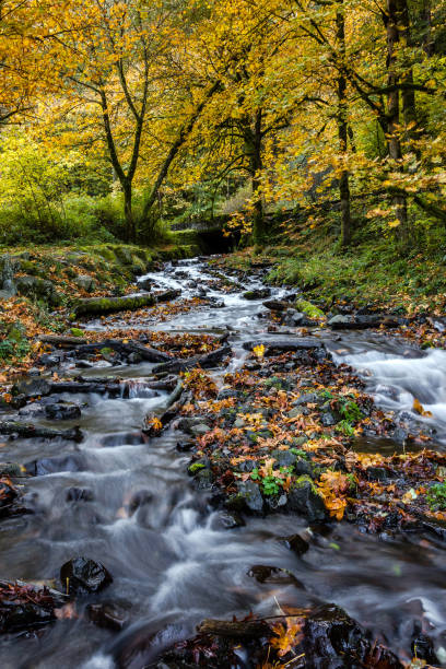 istock Columbia Gorge Colors 1206086683
