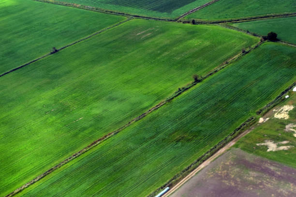 istock The surface of the earth from an airplane. 1206086696