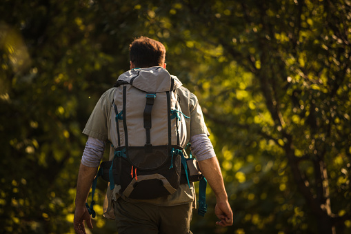 Rear view of an explorer walking in the middle of a exuberant forest with a backpack.