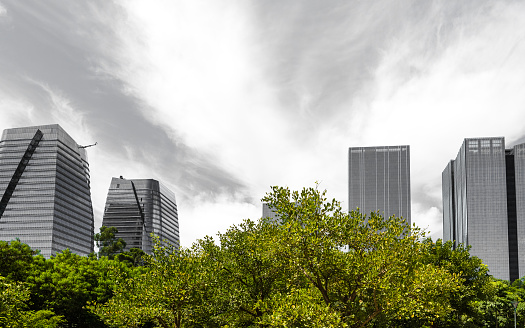 Contrast between nature and civilization. Park of the People, Sao Paulo, Brazil.