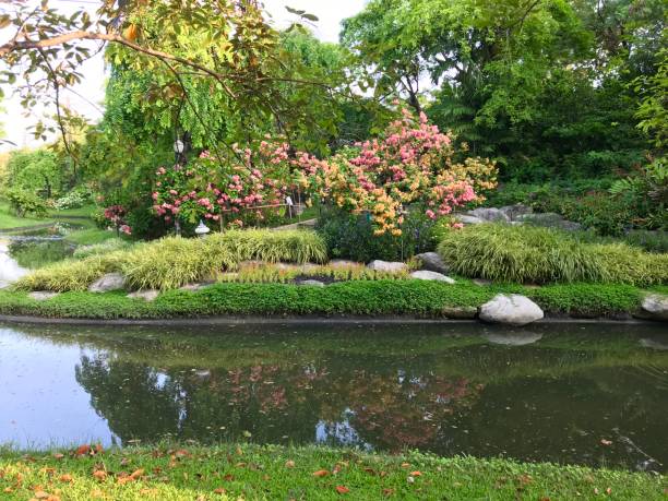 istock Tranquility lake view in the park 1206104399