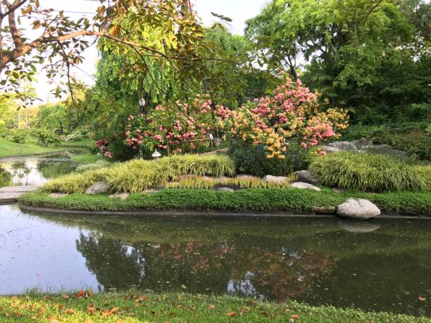 istock Tranquility lake view in the park 1206104428