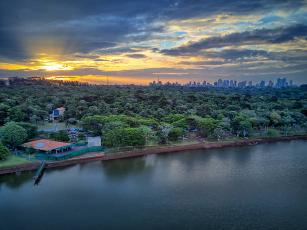 sunset over the municipal lake of the city of cascavel, paraná, brazil. - green woods forest southern brazil imagens e fotografias de stock