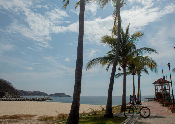 istock Palmtrees with a blue sky and some clouds a bright day in Huatulco Oaxaca, Mexico 1206137831