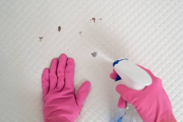 istock Mattress Stain Cleaning 1206150636