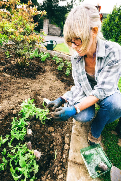 istock Healthy plants and good soil just need sun and water 1206151407