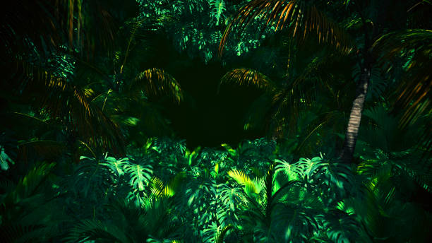 istock Adventure In Jungle Summer 1206151452