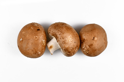 Three raw brown button mushrooms in a row on white background