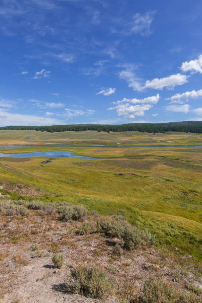 istock Yellowstone National Park Wyoming 1206152339
