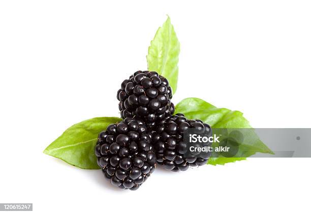 Blackberries Stock Photo - Download Image Now - Mulberry - Fruit, Black Color, Cut Out