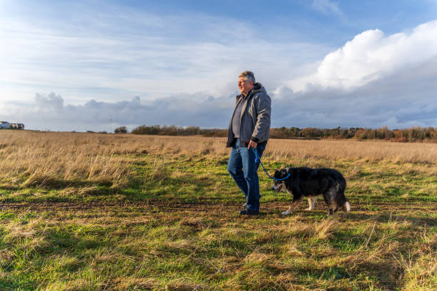 istock Man walking on grassland with border collie 1206152602