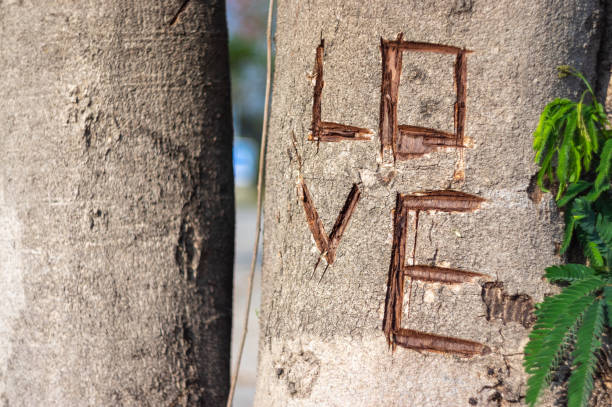 Picture of a tree trunk with cut up love - closeup