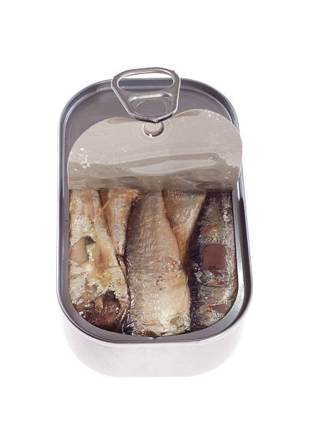 istock can of sardines 120615320