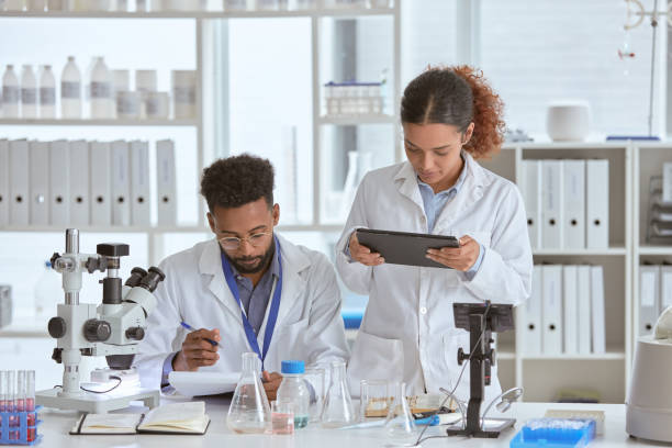 istock Coming together to make sense of the data 1206155403