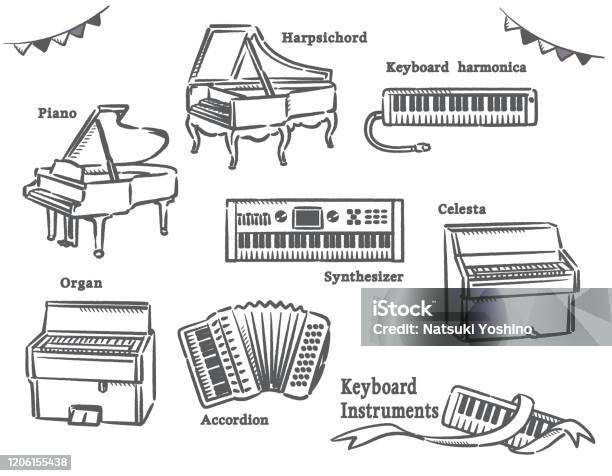 Keyboard Instrument Labelled Keyboard Instruments Set Stock Illustration - Download Image Now ...