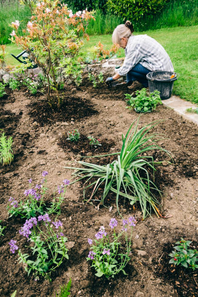 istock Healthy plants and good soil just need sun and water 1206155472