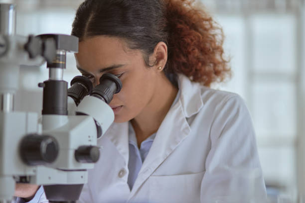 istock On a mission to uncover the truth 1206157479