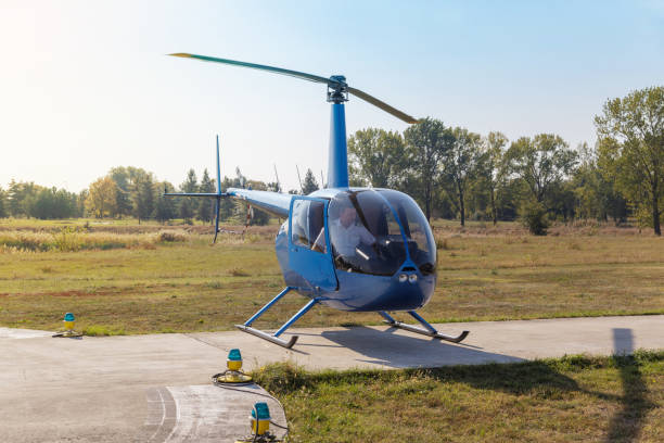 istock Pilot in grounded helicopter with the door open 1206159611