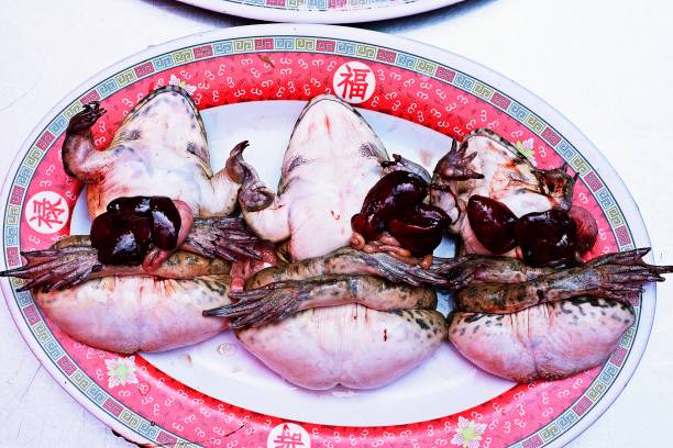 istock Raw frogs on plate - Bangkok fresh market. 1206165613