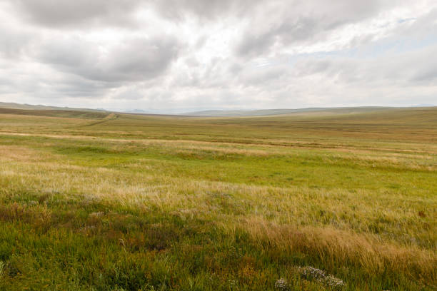 istock Mongolian steppe on the background of a cloudy sky 1206166324